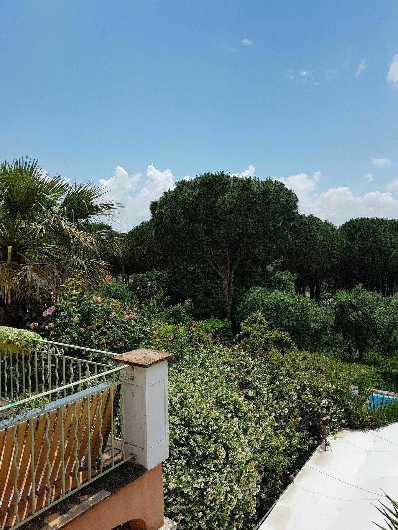 Chambres D'Hotes Villa Clauda Grimaud Exterior photo