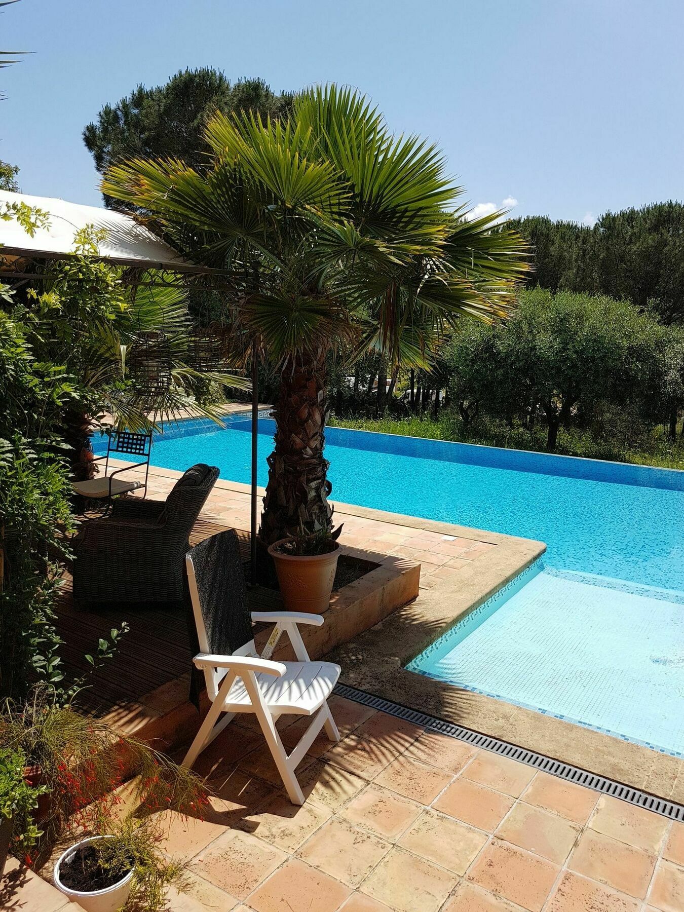 Chambres D'Hotes Villa Clauda Grimaud Exterior photo